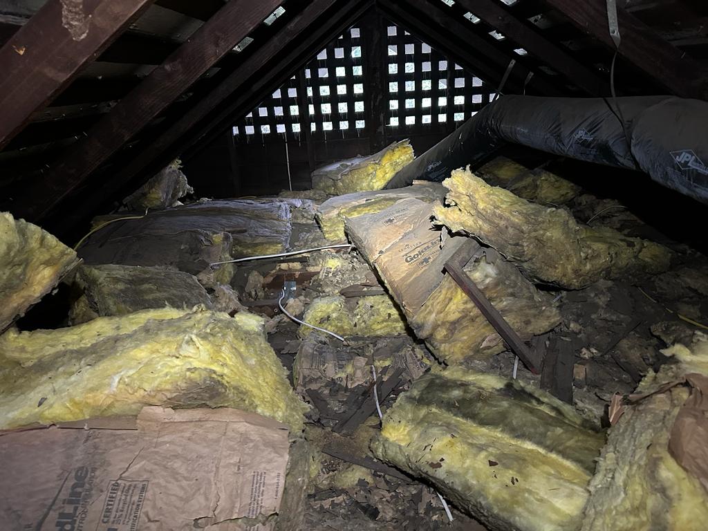 Insulation Removal Services